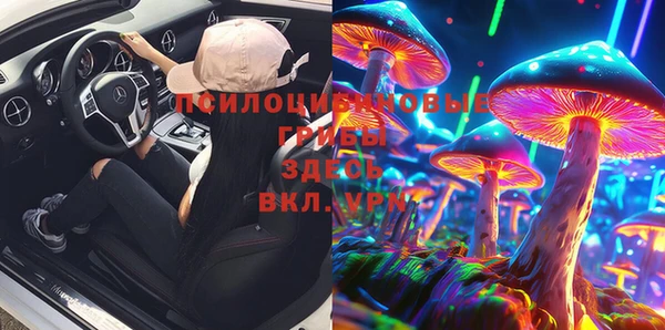мдпв Абинск